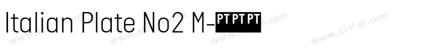 Italian Plate No2 M字体转换